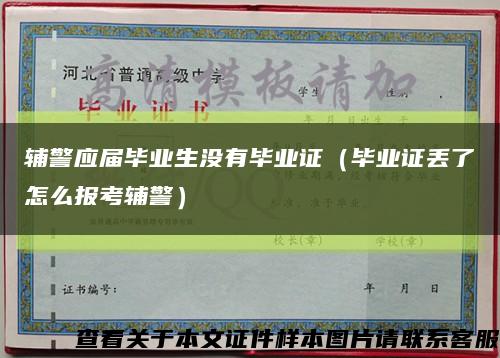 輔警應屆畢業生沒有畢業證（畢業證丟了怎么報考輔警）縮略圖