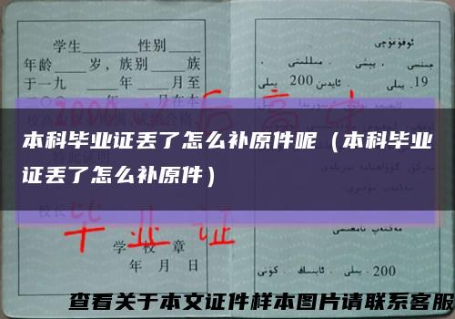 本科畢業證丟了怎么補原件呢（本科畢業證丟了怎么補原件）縮略圖
