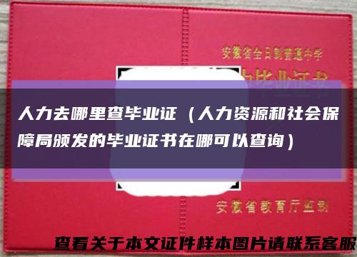 人力去哪里查畢業證（人力資源和社會保障局頒發的畢業證書在哪可以查詢）縮略圖