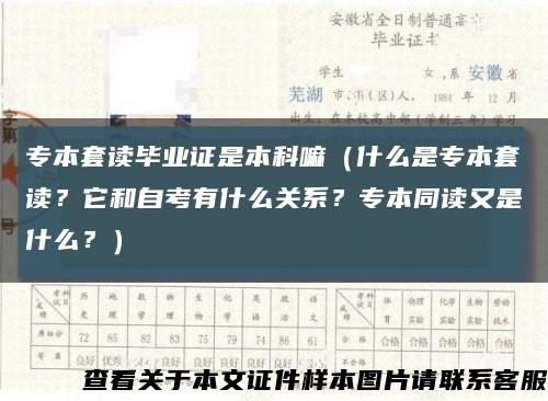 專本套讀畢業證是本科嘛（什么是專本套讀？它和自考有什么關系？專本同讀又是什么？）縮略圖