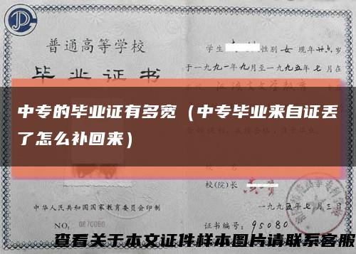 中專的畢業證有多寬（中專畢業來自證丟了怎么補回來）縮略圖