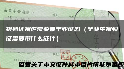 報到證報道需要帶畢業證嗎（畢業生報到證需要帶什么證件）縮略圖