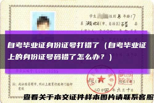 自考畢業證身份證號打錯了（自考畢業證上的身份證號碼錯了怎么辦？）縮略圖