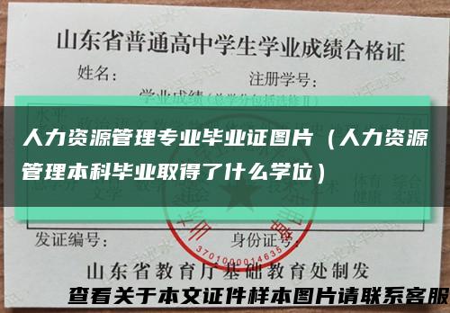 人力資源管理專業畢業證圖片（人力資源管理本科畢業取得了什么學位）縮略圖