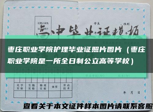 棗莊職業學院護理畢業證照片圖片（棗莊職業學院是一所全日制公立高等學校）縮略圖