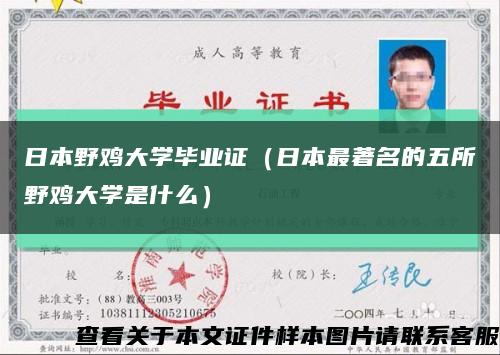 日本野雞大學畢業證（日本最著名的五所野雞大學是什么）縮略圖
