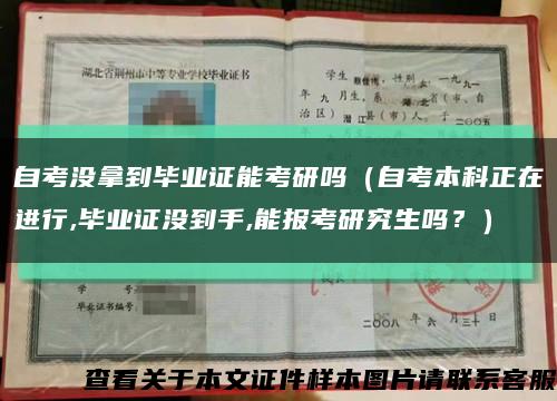 自考沒拿到畢業證能考研嗎（自考本科正在進行,畢業證沒到手,能報考研究生嗎？）縮略圖