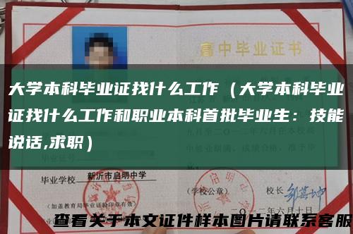 大學本科畢業證找什么工作（大學本科畢業證找什么工作和職業本科首批畢業生：技能說話,求職）縮略圖