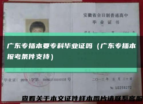 廣東專插本要?？飘厴I證嗎（廣東專插本報考條件支持）縮略圖
