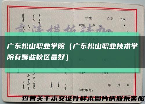 廣東松山職業學院（廣東松山職業技術學院有哪些校區最好）縮略圖