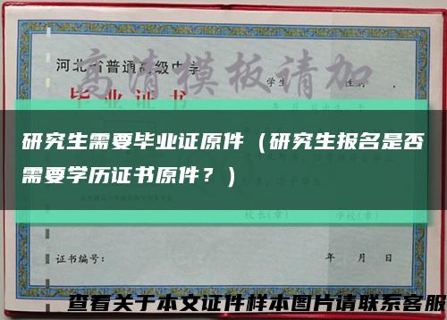 研究生需要畢業證原件（研究生報名是否需要學歷證書原件？）縮略圖