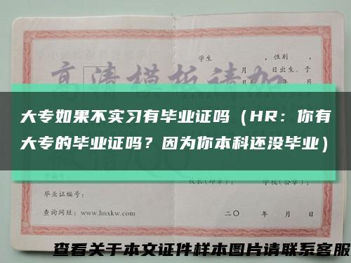 大專如果不實習有畢業證嗎（HR：你有大專的畢業證嗎？因為你本科還沒畢業）縮略圖