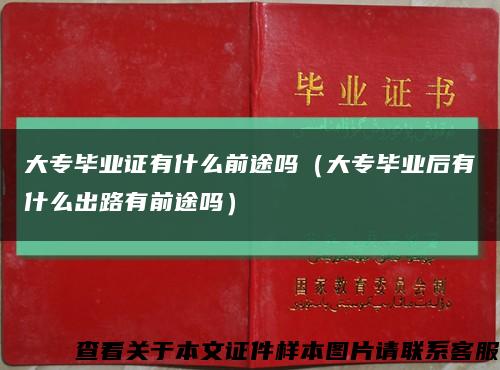 大專畢業證有什么前途嗎（大專畢業后有什么出路有前途嗎）縮略圖