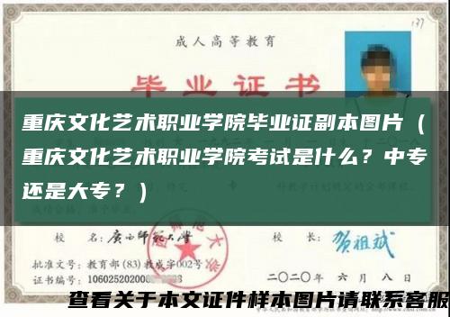 重慶文化藝術職業學院畢業證副本圖片（重慶文化藝術職業學院考試是什么？中專還是大專？）縮略圖