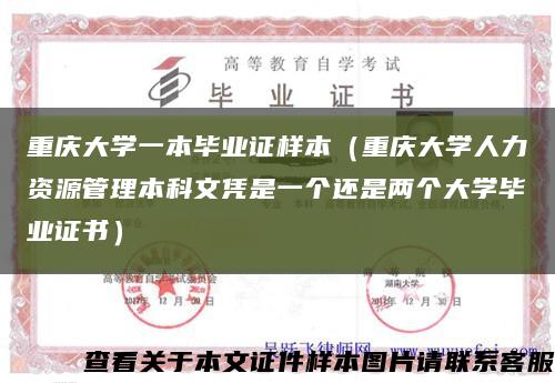 重慶大學一本畢業證樣本（重慶大學人力資源管理本科文憑是一個還是兩個大學畢業證書）縮略圖