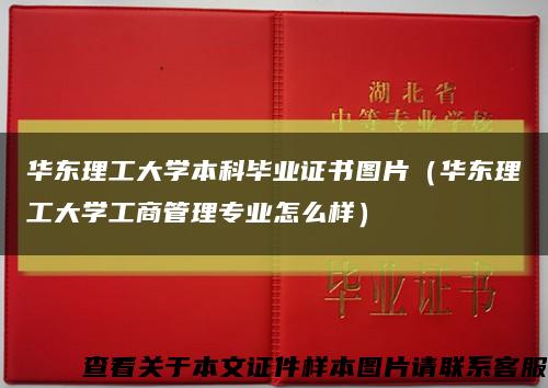 華東理工大學本科畢業證書圖片（華東理工大學工商管理專業怎么樣）縮略圖