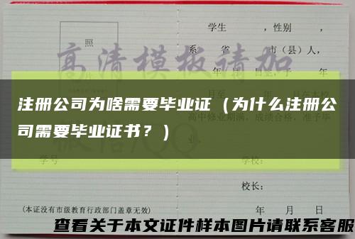 注冊公司為啥需要畢業證（為什么注冊公司需要畢業證書？）縮略圖