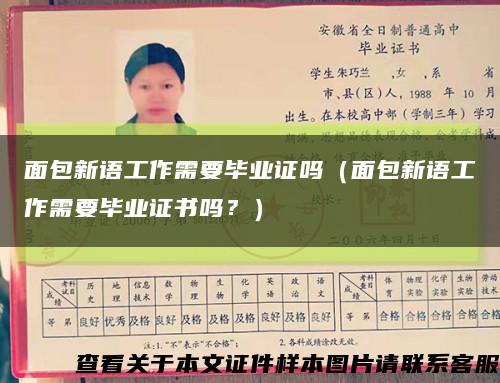 面包新語工作需要畢業證嗎（面包新語工作需要畢業證書嗎？）縮略圖