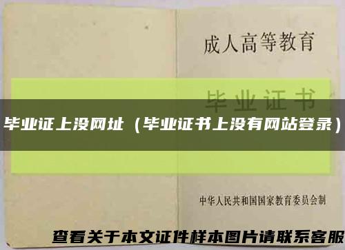 畢業證上沒網址（畢業證書上沒有網站登錄）縮略圖