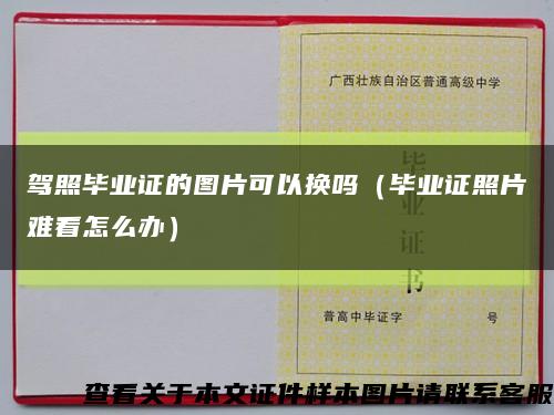 駕照畢業證的圖片可以換嗎（畢業證照片難看怎么辦）縮略圖