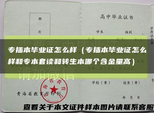 專插本畢業證怎么樣（專插本畢業證怎么樣和專本套讀和轉生本哪個含金量高）縮略圖