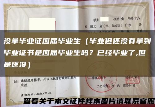 沒拿畢業證應屆畢業生（畢業但還沒有拿到畢業證書是應屆畢業生嗎？已經畢業了,但是還沒）縮略圖