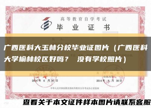 廣西醫科大玉林分校畢業證圖片（廣西醫科大學榆林校區好嗎？ 沒有學校照片）縮略圖