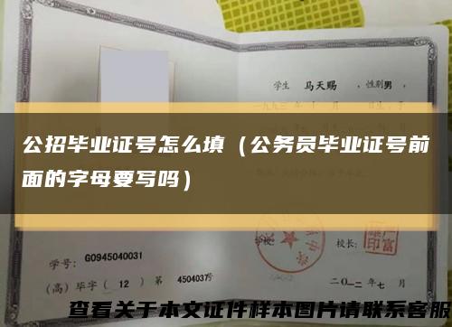 公招畢業證號怎么填（公務員畢業證號前面的字母要寫嗎）縮略圖