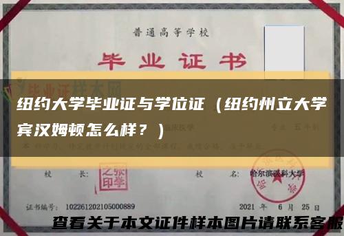紐約大學畢業證與學位證（紐約州立大學賓漢姆頓怎么樣？）縮略圖