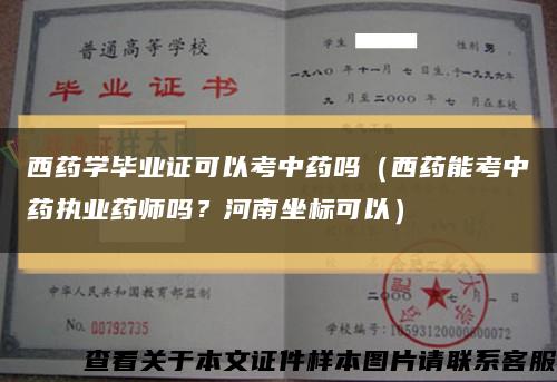 西藥學畢業證可以考中藥嗎（西藥能考中藥執業藥師嗎？河南坐標可以）縮略圖