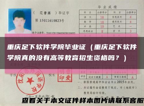 重慶足下軟件學院畢業證（重慶足下軟件學院真的沒有高等教育招生資格嗎？）縮略圖