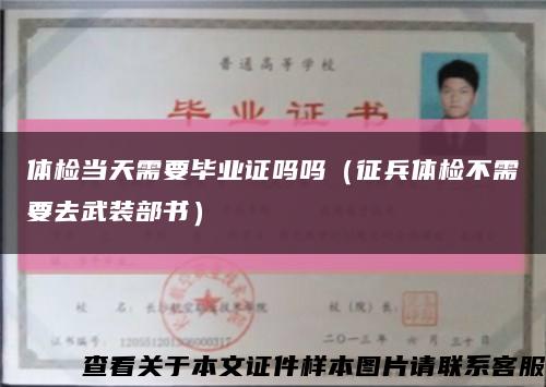 體檢當天需要畢業證嗎嗎（征兵體檢不需要去武裝部書）縮略圖