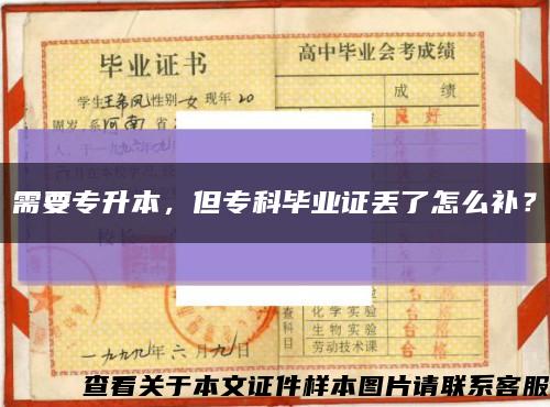 需要專升本，但?？飘厴I證丟了怎么補？縮略圖