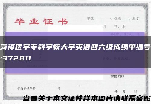 菏澤醫學?？茖W校大學英語四六級成績單編號:372811縮略圖
