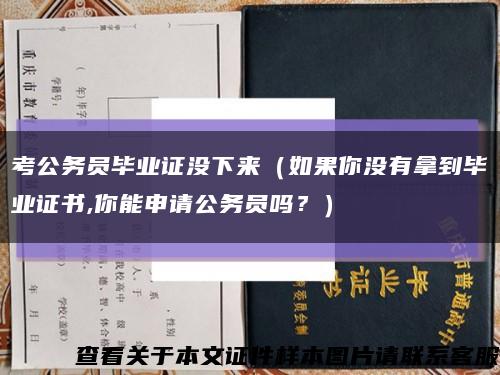 考公務員畢業證沒下來（如果你沒有拿到畢業證書,你能申請公務員嗎？）縮略圖