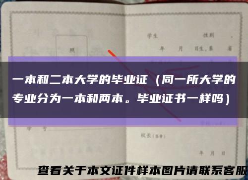 一本和二本大學的畢業證（同一所大學的專業分為一本和兩本。畢業證書一樣嗎）縮略圖