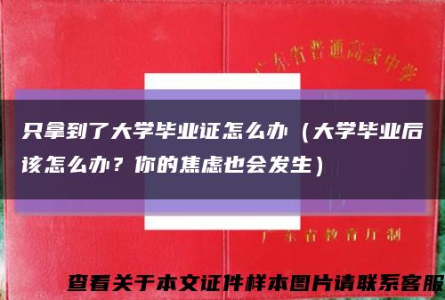 只拿到了大學畢業證怎么辦（大學畢業后該怎么辦？你的焦慮也會發生）縮略圖