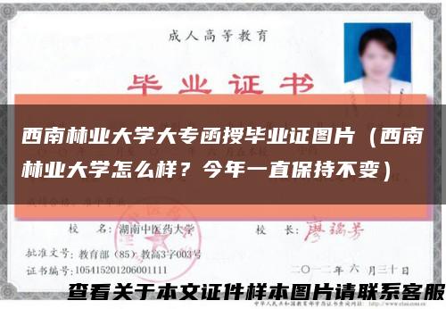 西南林業大學大專函授畢業證圖片（西南林業大學怎么樣？今年一直保持不變）縮略圖