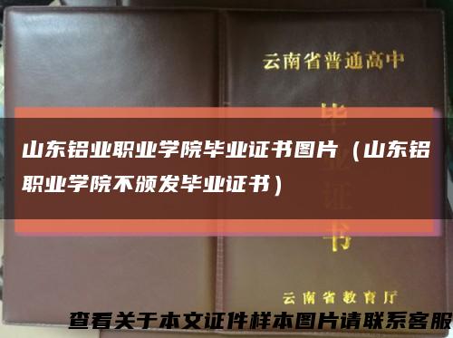 山東鋁業職業學院畢業證書圖片（山東鋁職業學院不頒發畢業證書）縮略圖