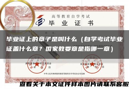 畢業證上的章子是叫什么（自學考試畢業證蓋什么章？國家教委章是指哪一章）縮略圖
