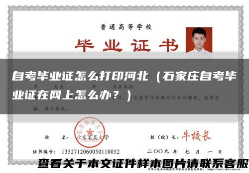 自考畢業證怎么打印河北（石家莊自考畢業證在網上怎么辦？）縮略圖
