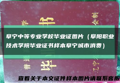阜寧中等專業學校畢業證圖片（阜陽職業技術學院畢業證書樣本阜寧城市消費）縮略圖