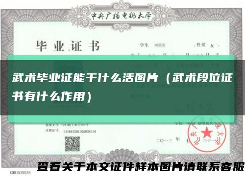 武術畢業證能干什么活圖片（武術段位證書有什么作用）縮略圖