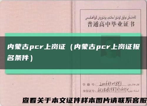 內蒙古pcr上崗證（內蒙古pcr上崗證報名條件）縮略圖