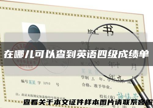 在哪兒可以查到英語四級成績單縮略圖
