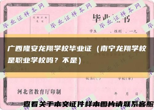 廣西隆安龍翔學校畢業證（南寧龍翔學校是職業學校嗎？不是）縮略圖