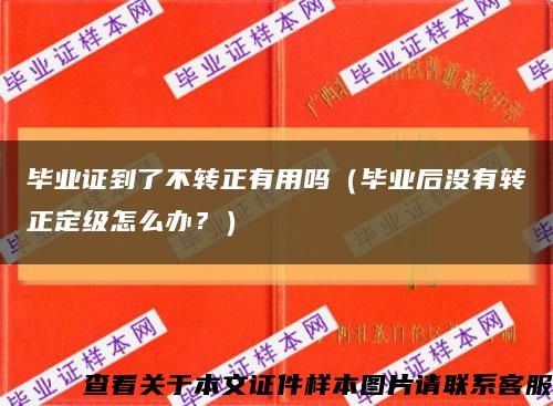 畢業證到了不轉正有用嗎（畢業后沒有轉正定級怎么辦？）縮略圖