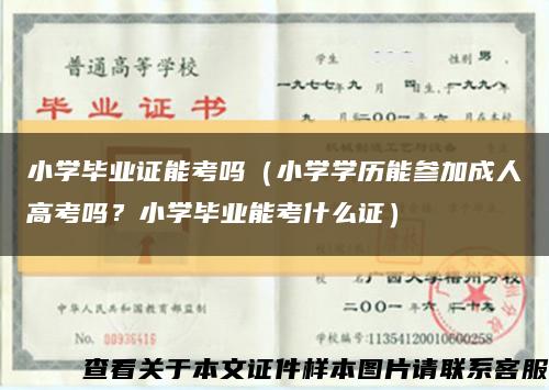 小學畢業證能考嗎（小學學歷能參加成人高考嗎？小學畢業能考什么證）縮略圖
