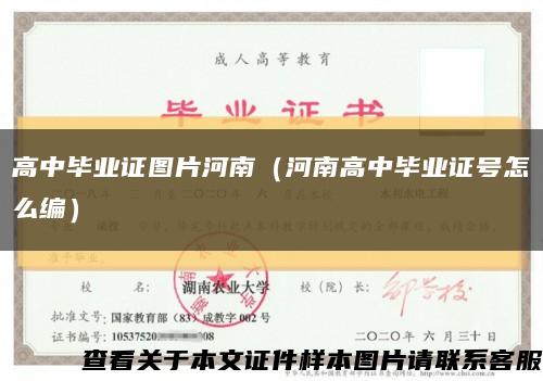 高中畢業證圖片河南（河南高中畢業證號怎么編）縮略圖