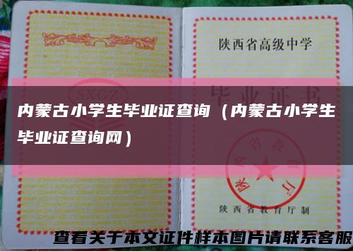 內蒙古小學生畢業證查詢（內蒙古小學生畢業證查詢網）縮略圖